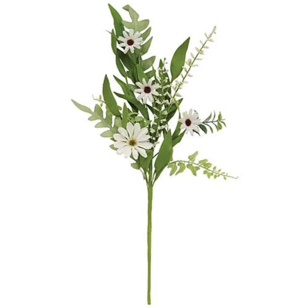 *Cape Daisy Astilbe & Herb Pick