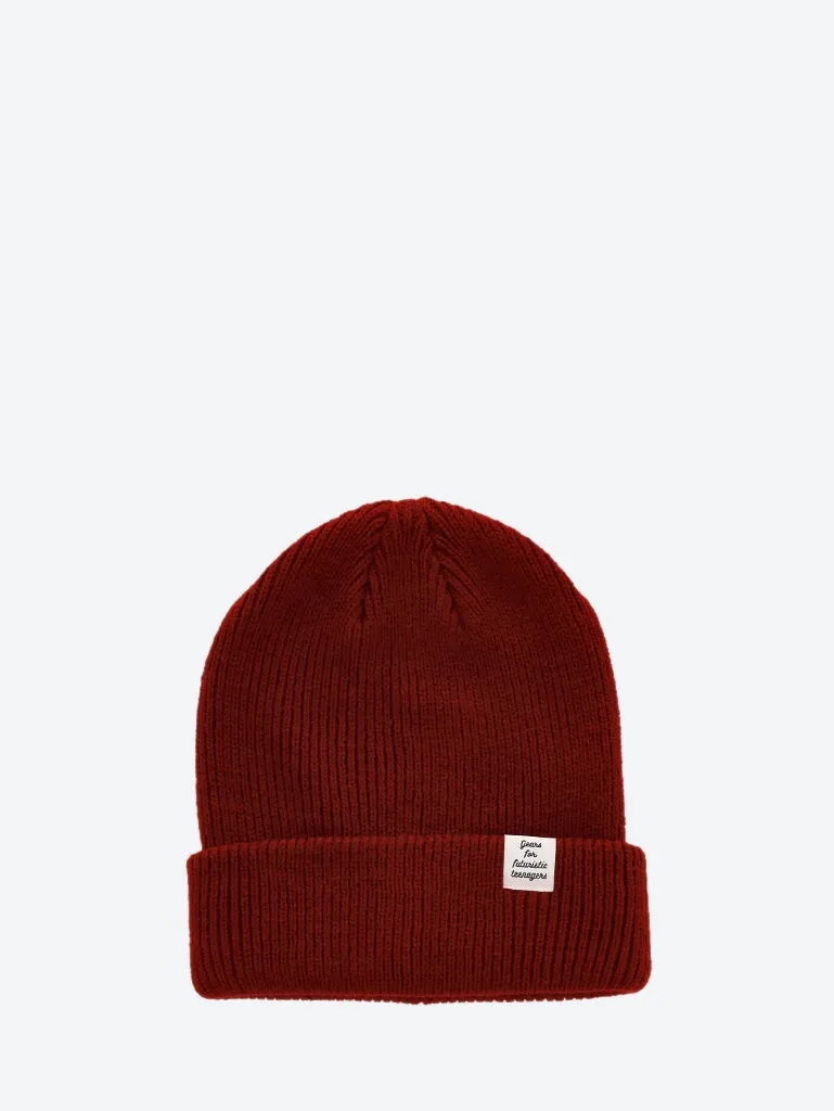 Classic beanie